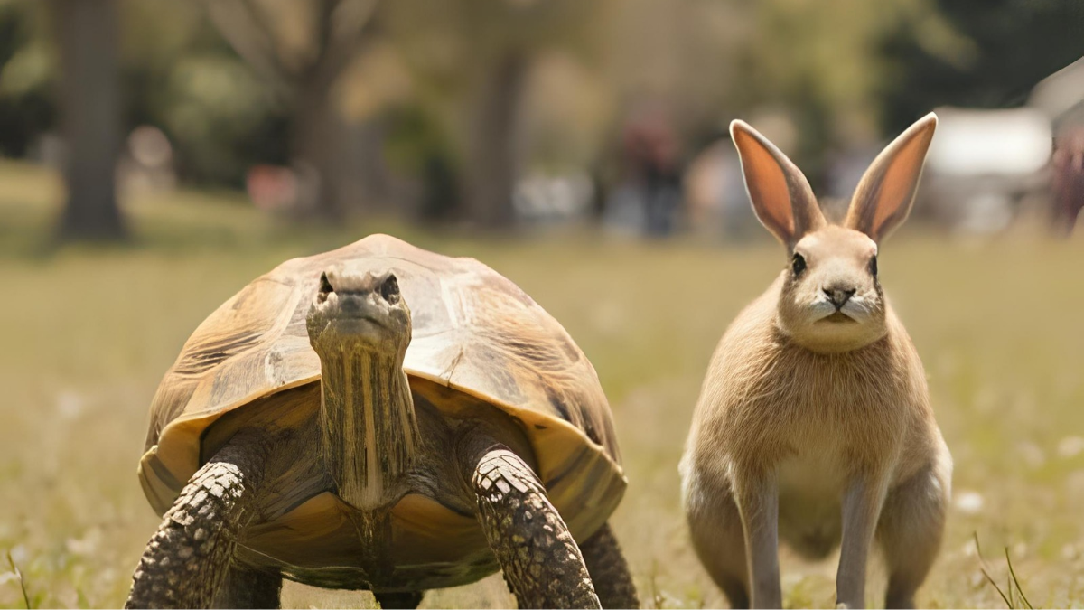 20251027 132444 0000.png