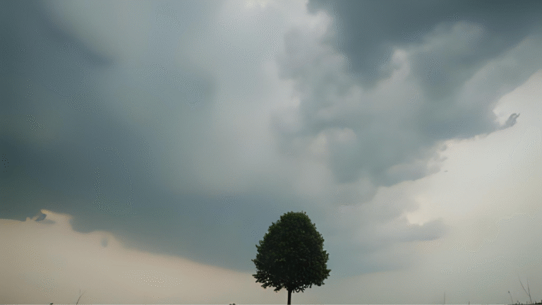 20251029 222309 0000.png